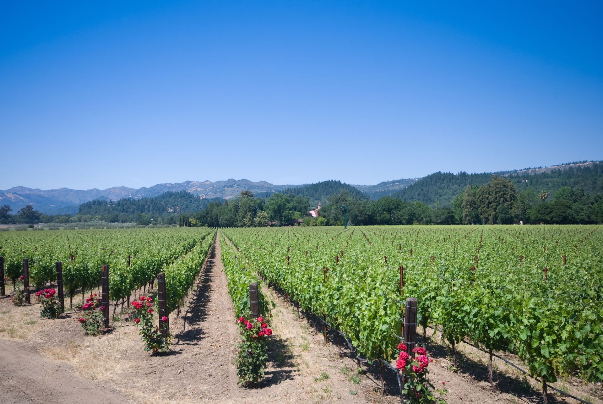 Napa Valley Hard Money Loans