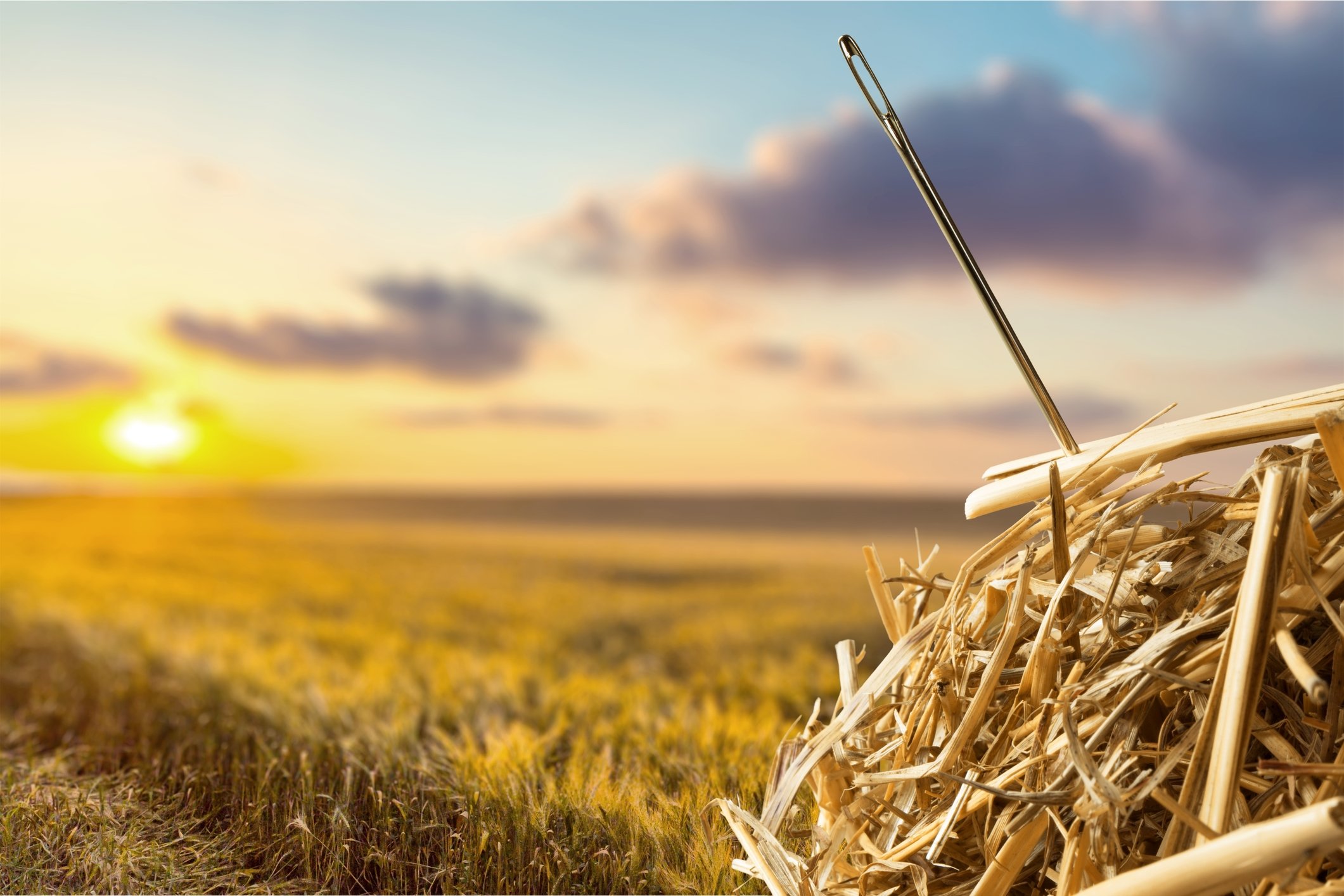 Needle in a Haystack