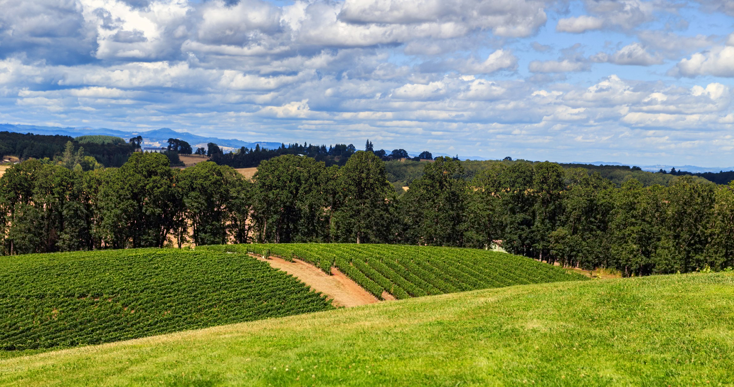 Winery Hard Money Bridge Loan